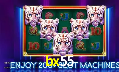 Flash Promotion bx55